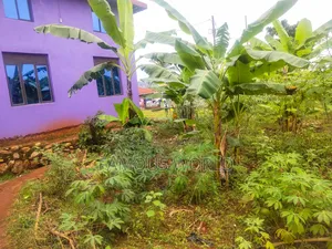 Katabi Busambaga Plot on Sale, Next to Skyland International School