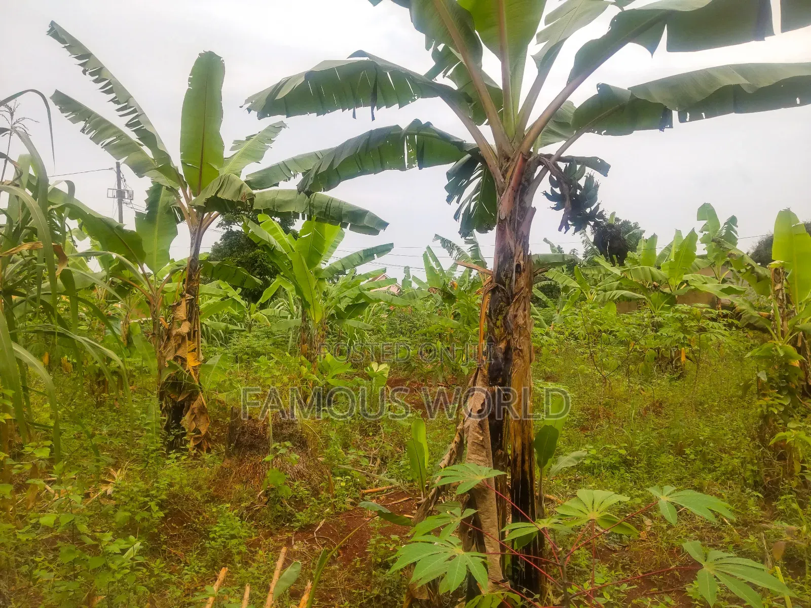 Katabi Busambaga Plot on Sale, Next to Skyland International School