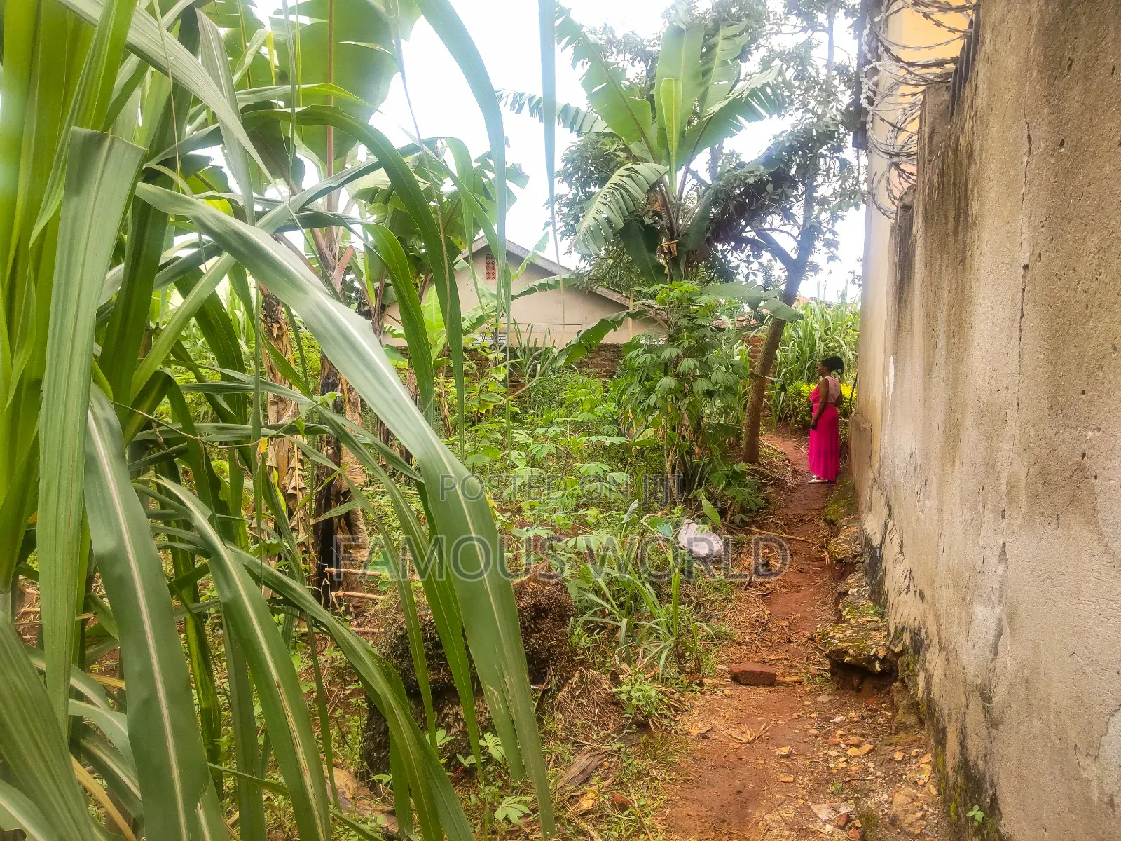 Katabi Busambaga Plot on Sale, Next to Skyland International School
