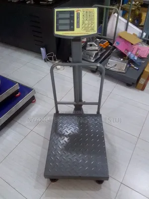 300kg Portable Weighing Scale Japan Platform Weighing Scale