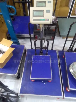 Stainless Steal Weighing Scale 180kg Weigh Digital Food Weighing Scale