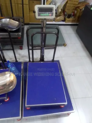 300kg Digital Weighing Scale Electronic Platform Weighing Scale