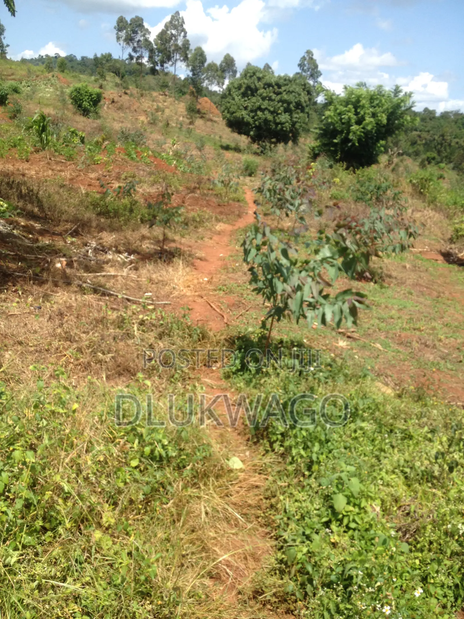 Land for Sale in Busabaga Lugazi Municipality