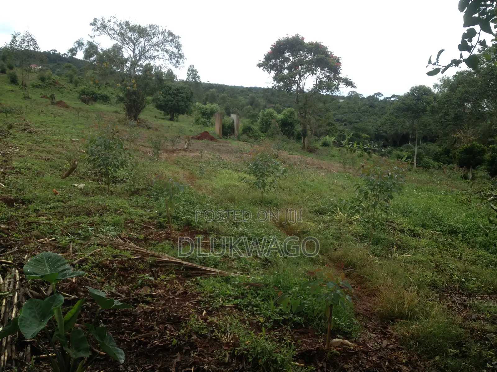 Land for Sale in Busabaga Lugazi Municipality