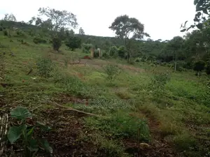Land for Sale in Busabaga Lugazi Municipality