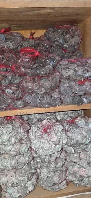 Rubber Washer
