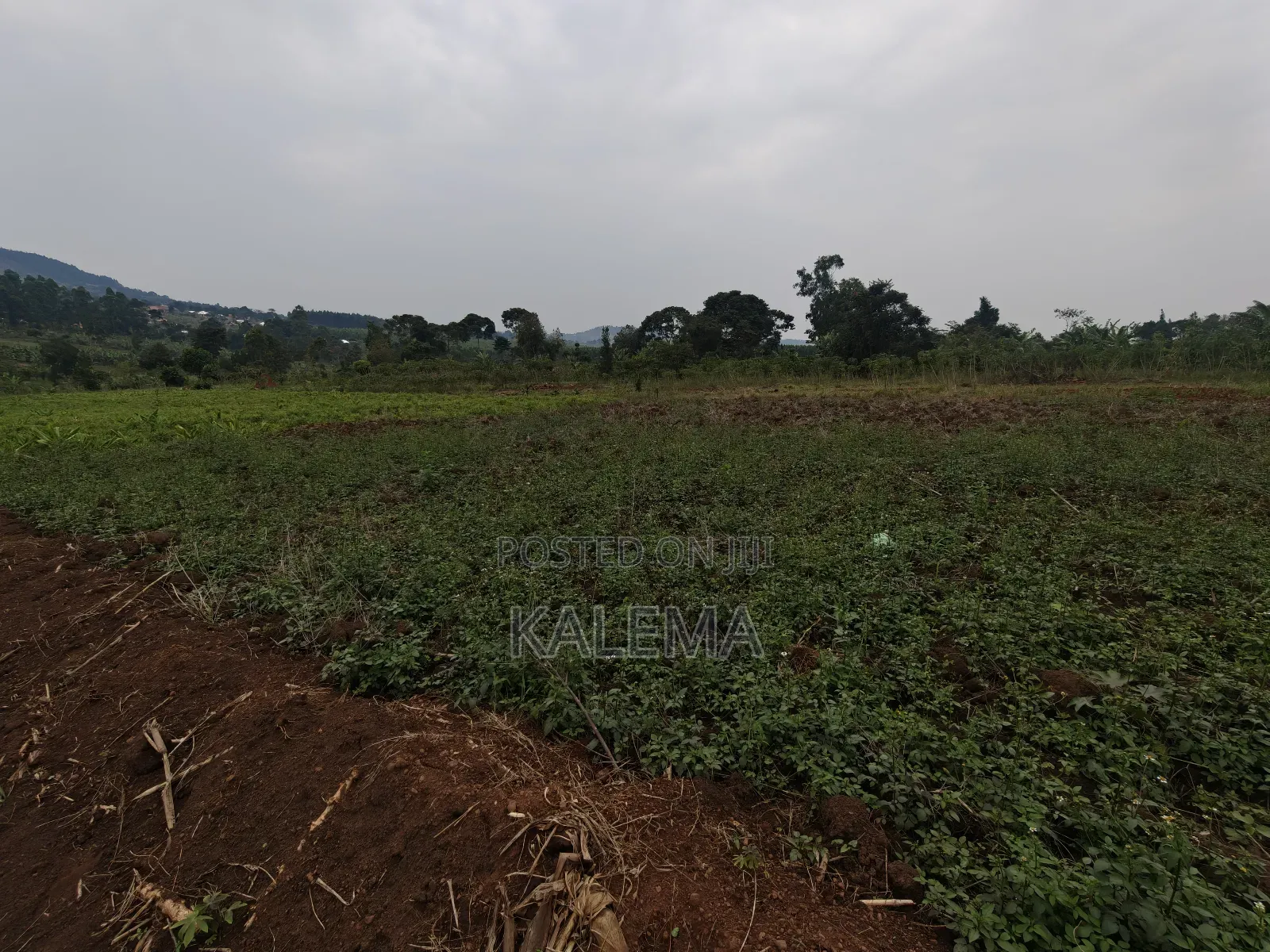 Katende Lungala Private Milo With Land Titles