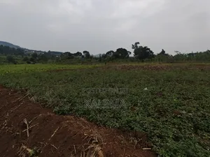 Katende Lungala Private Milo With Land Titles