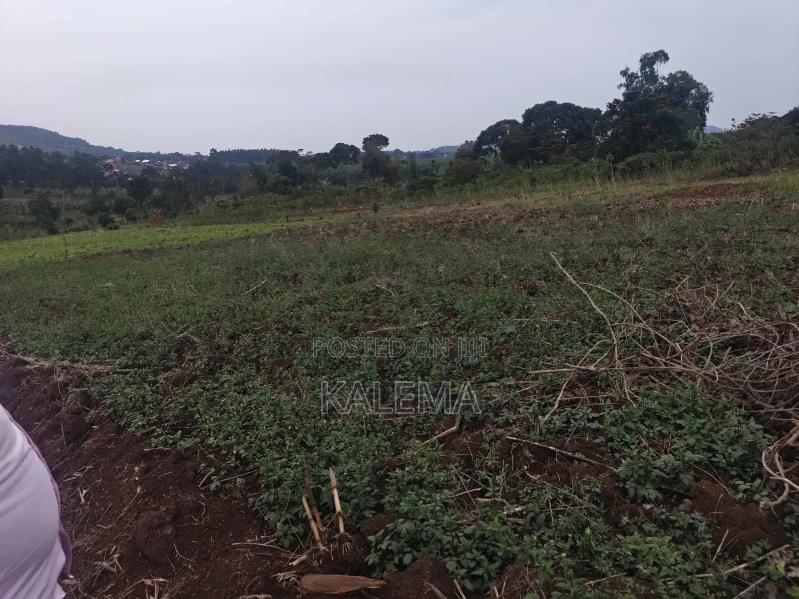 Private Milo Land With Ready Land Tiles