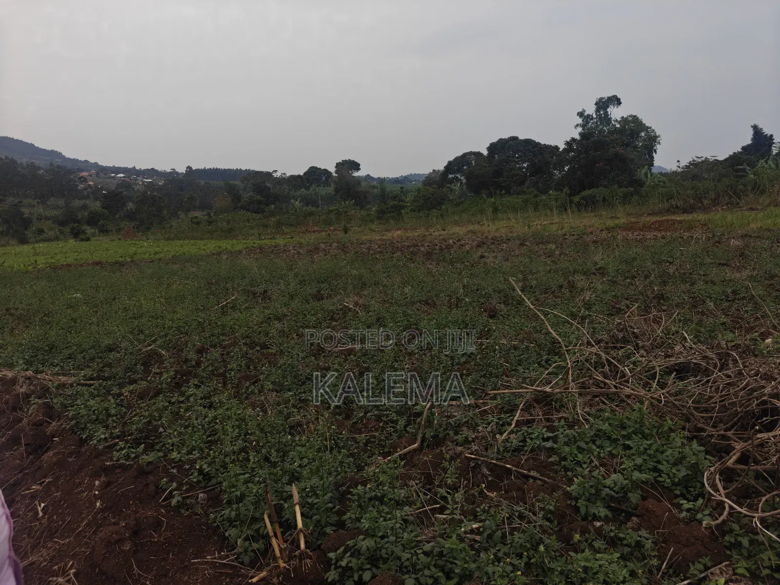 Private Milo Land With Ready Land Tiles