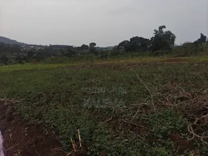 Private Milo Land With Ready Land Tiles