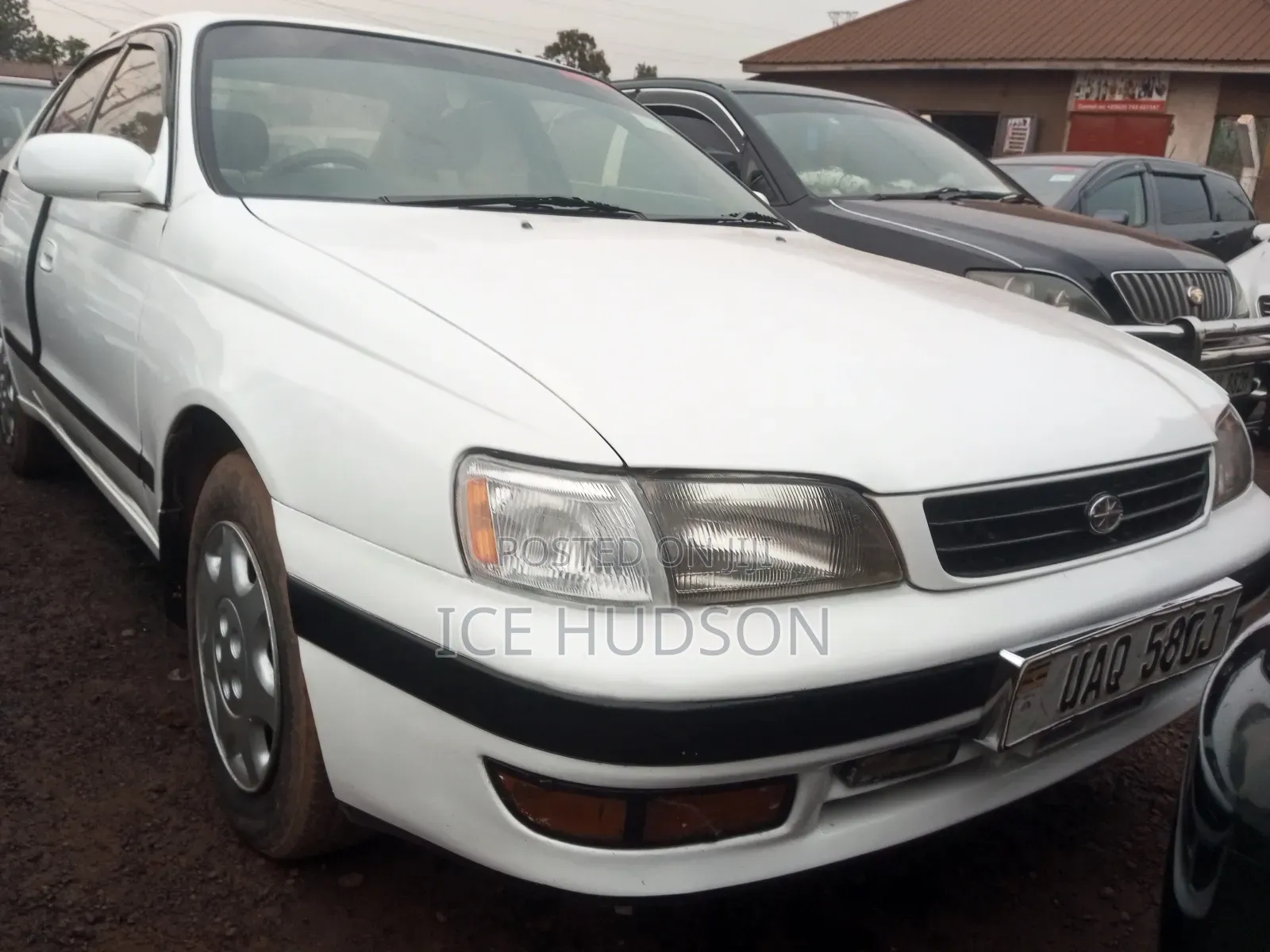 Toyota Corona 1999 Pearl