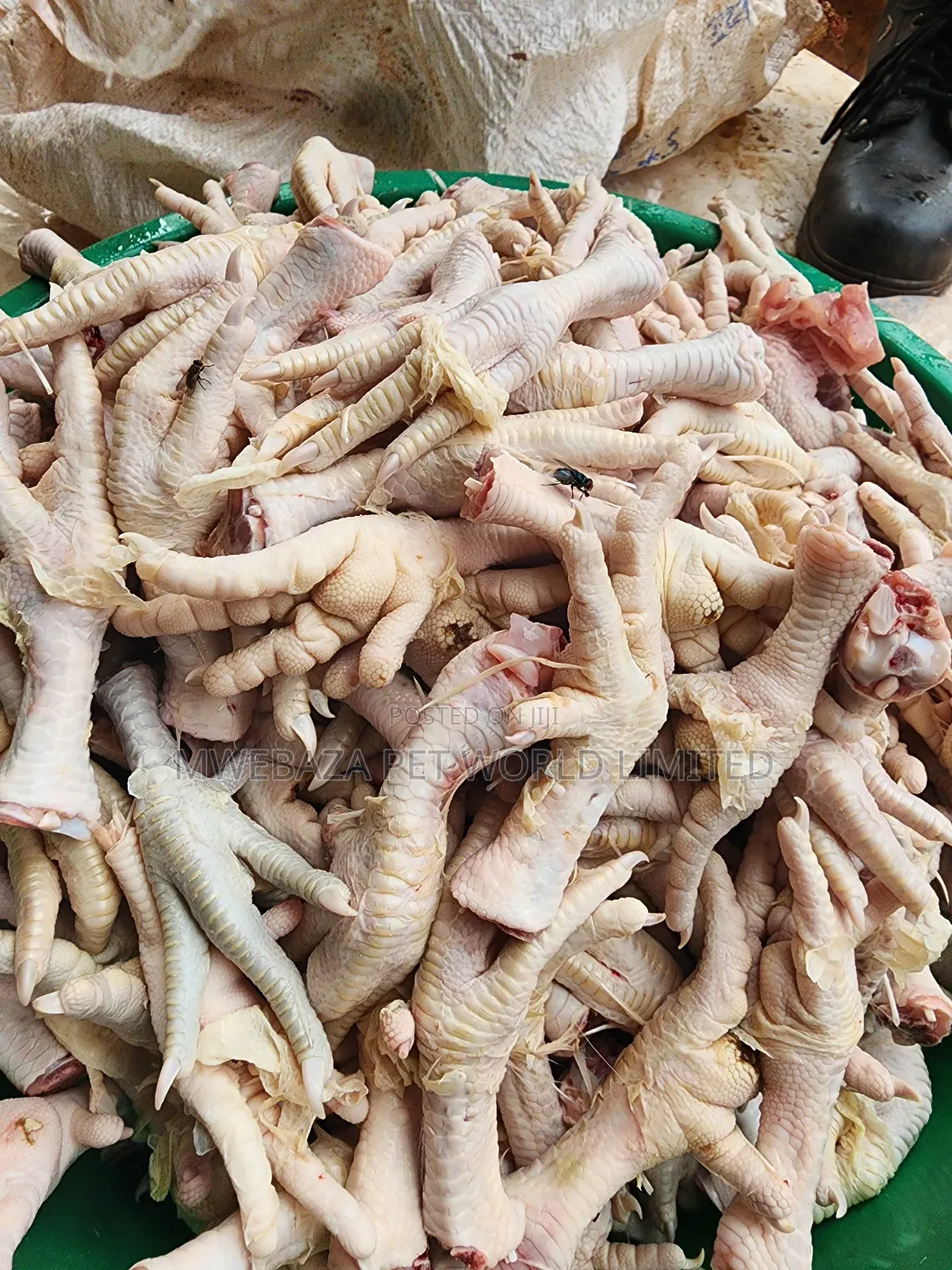 Legs for Hen