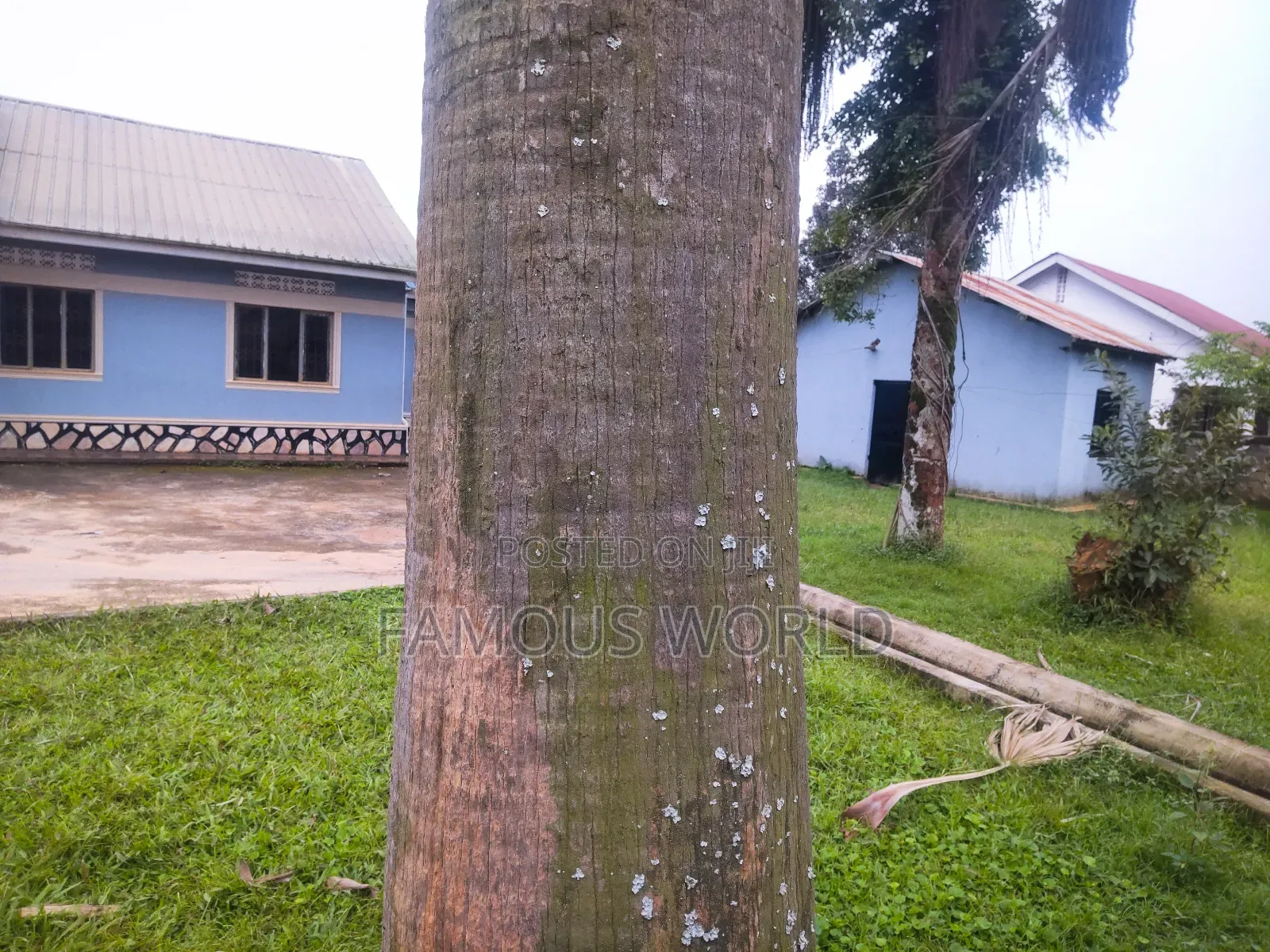 Furnished 5bdrm House in Bunono Entebbe, Katabi for sale