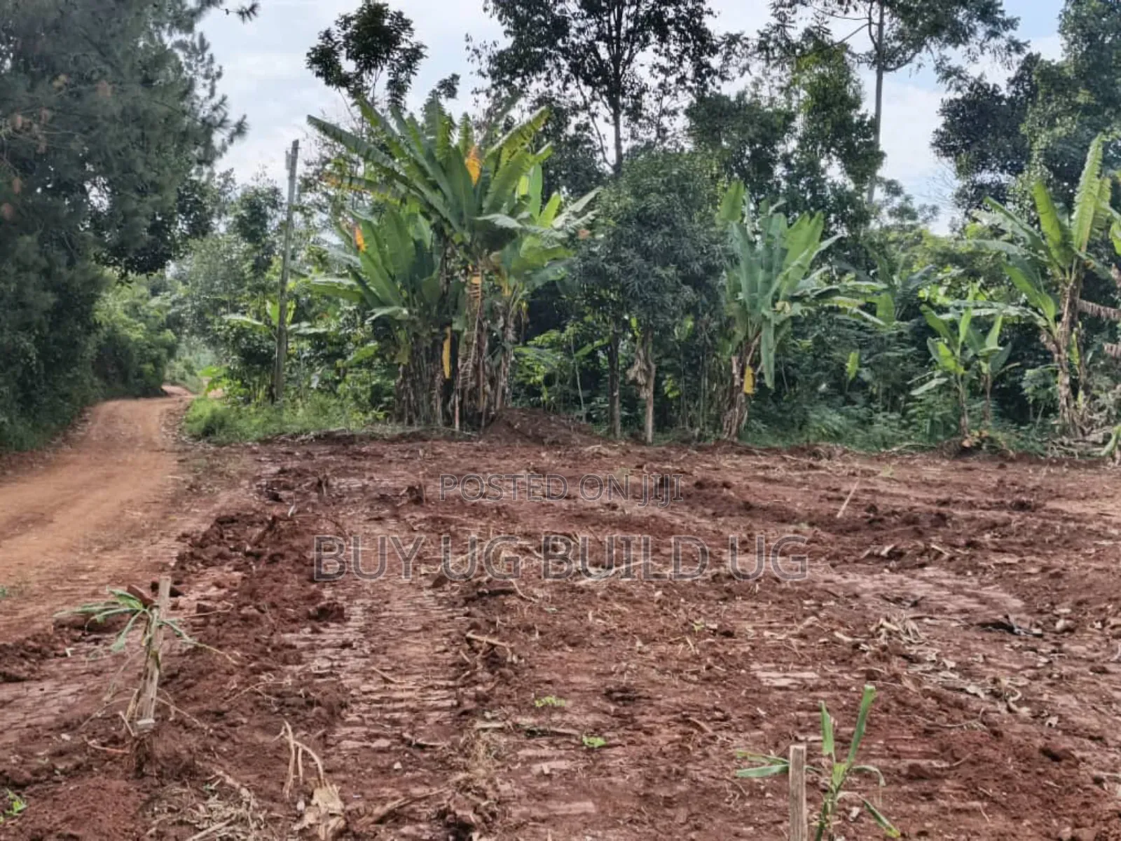 Prime Plots for Sale Located at Kabembe Off Mukono Kayunga Rd 25m