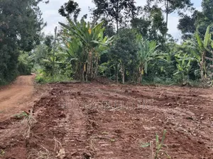 Prime Plots for Sale Located at Kabembe Off Mukono Kayunga Rd 25m
