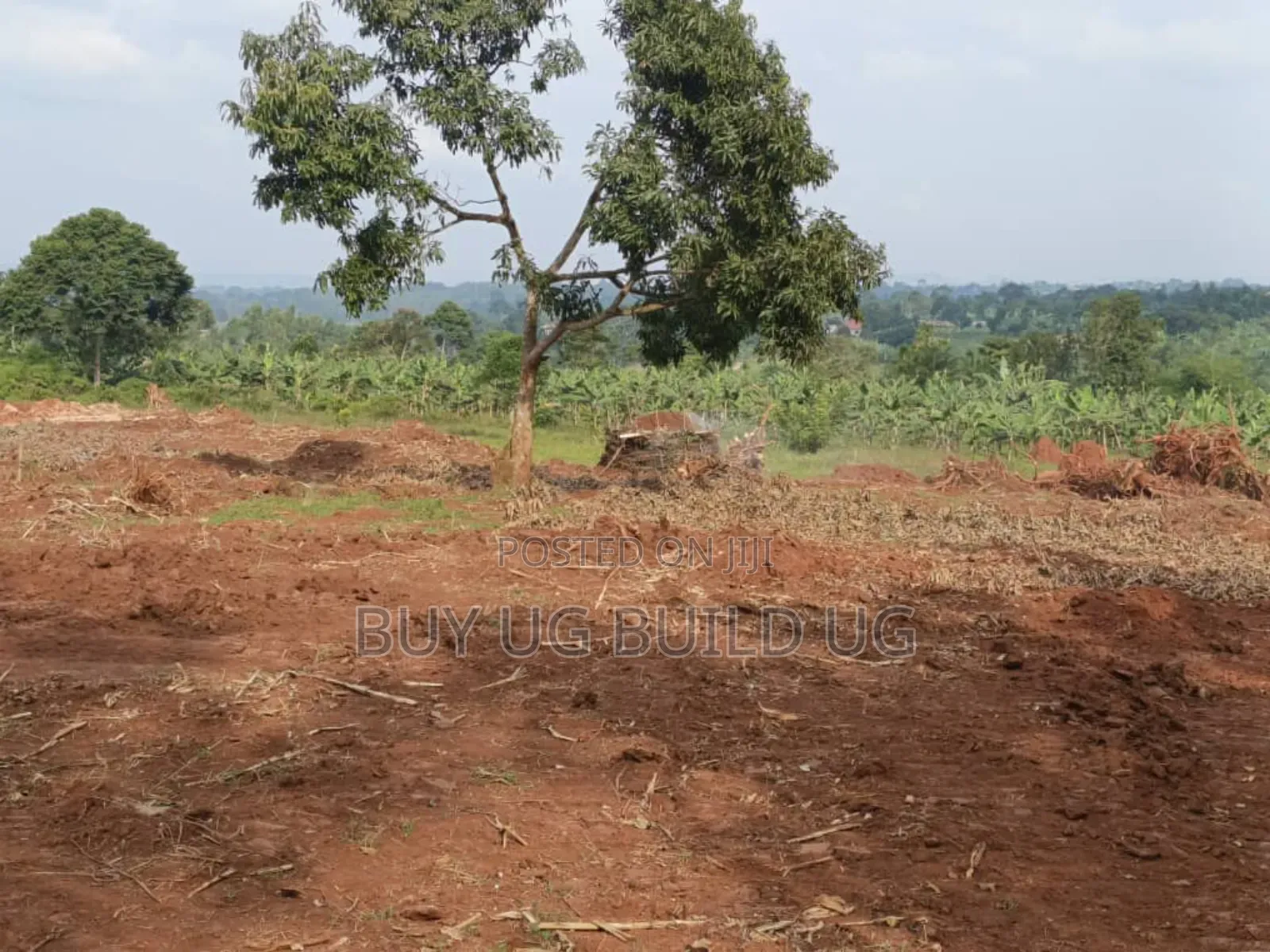 Prime Plots for Sale Located at Kabembe Off Mukono Kayunga Rd 25m