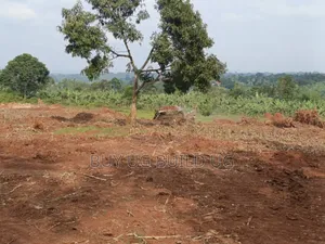 Prime Plots for Sale Located at Kabembe Off Mukono Kayunga Rd 25m