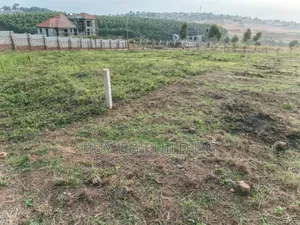 Prime Plots for Sale Located at Seeta Town Jinja Rd (6plots) 60m