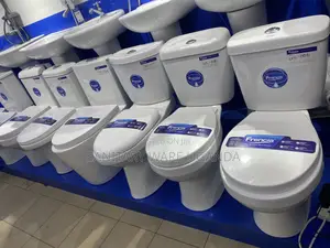 Toilet Seats 2