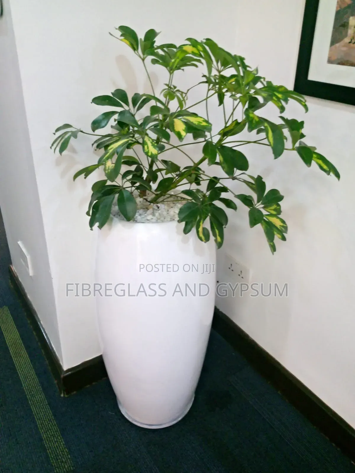 Fibreglass Flower Pots