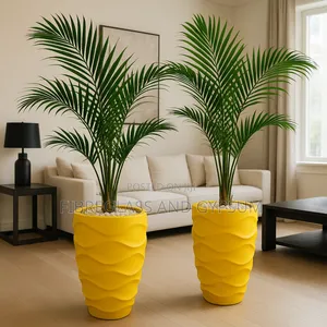 Flower Pots