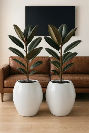 Flower Pots