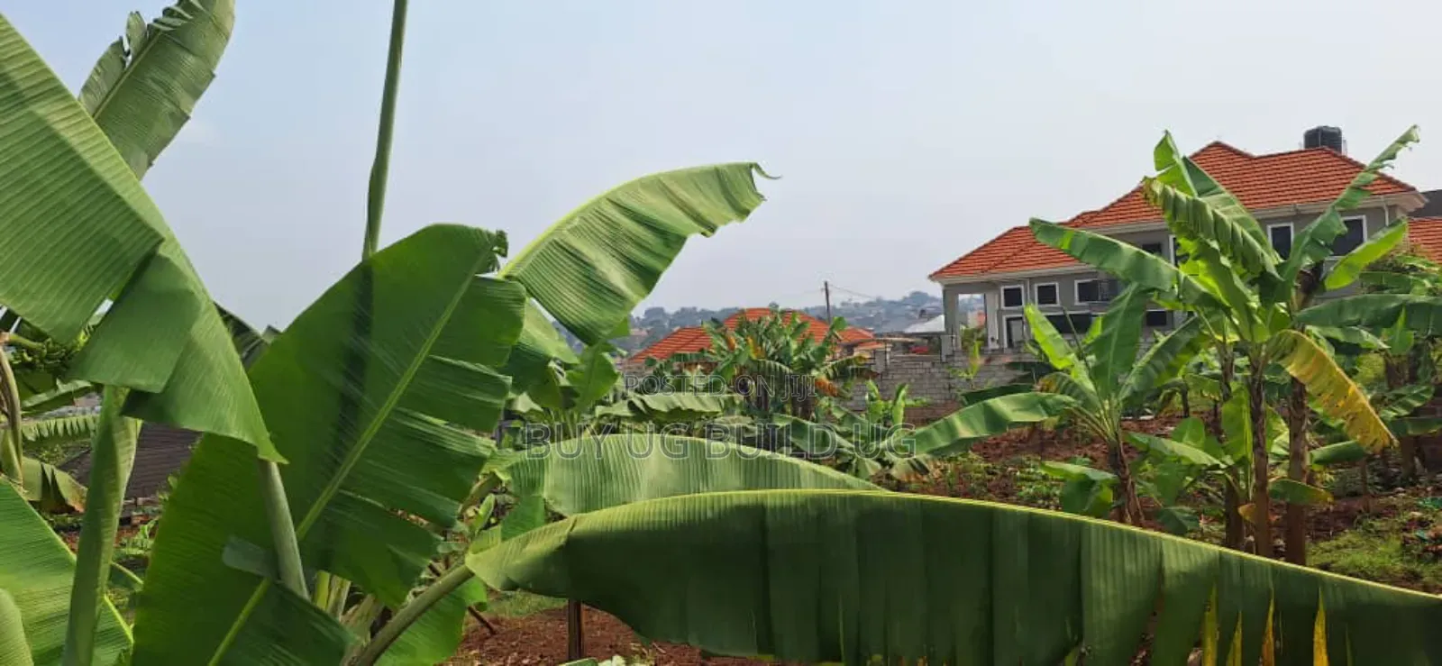 Buwate Najjera Plot for Sale Road at 235m . It's 25 Decimals