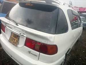 Toyota Ipsum 1999 White