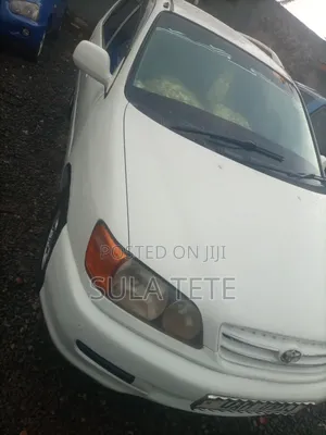 Toyota Ipsum 1999 White