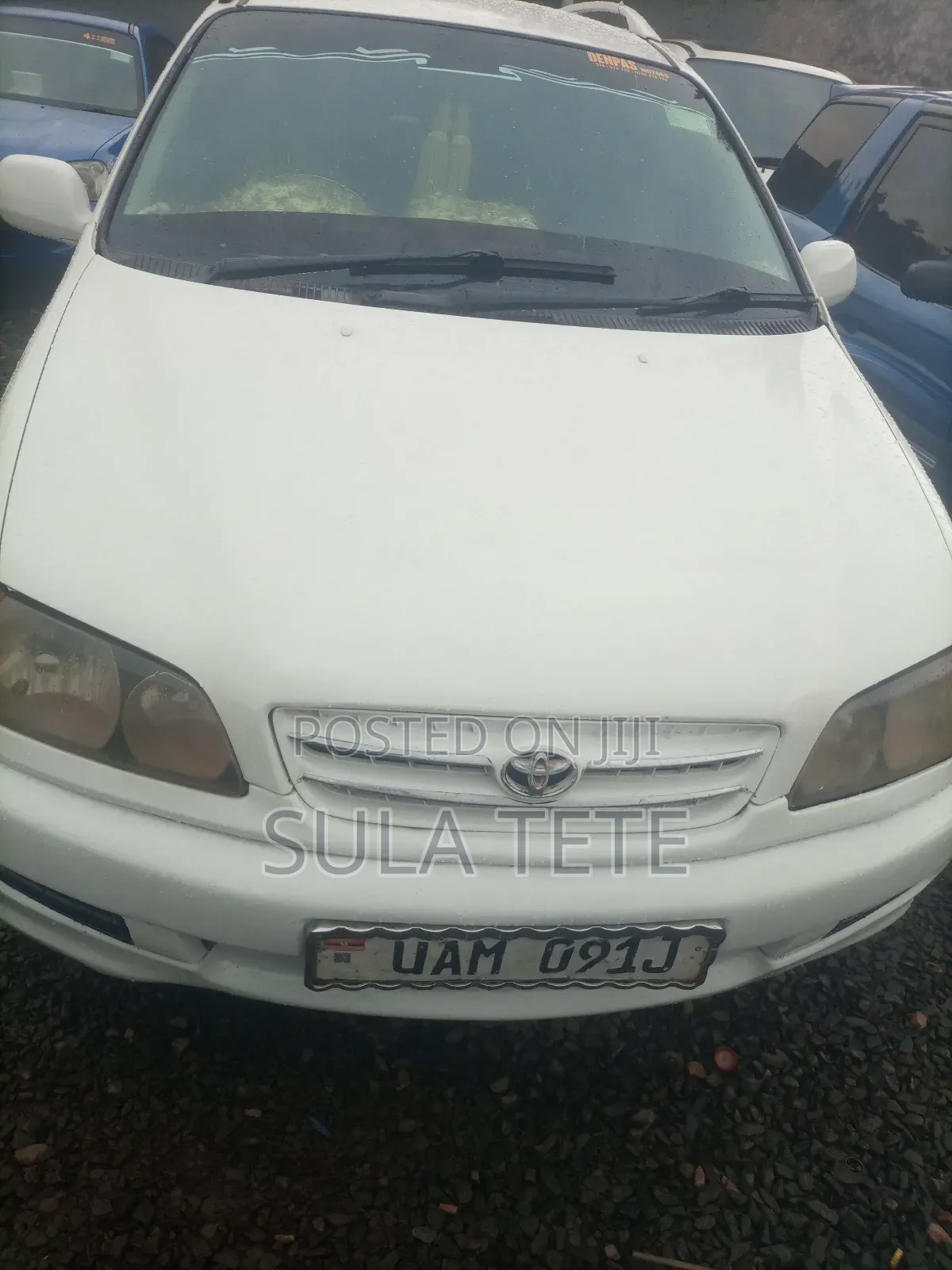 Toyota Ipsum 1999 White
