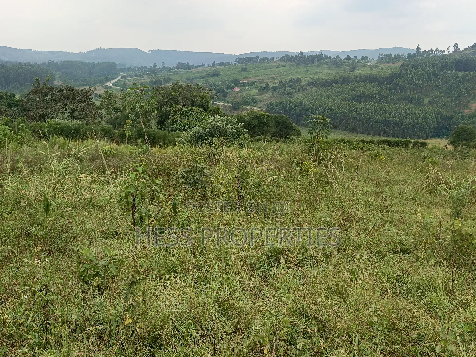 Commercial Land on Sale