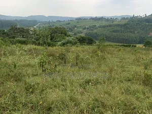 Commercial Land on Sale
