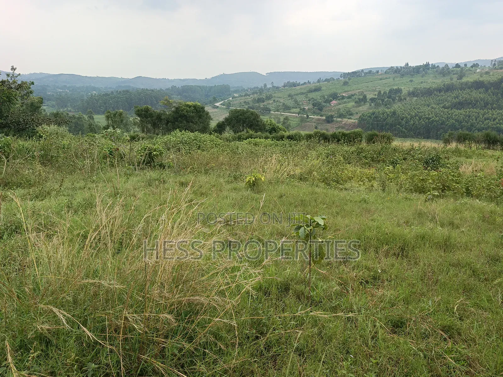 Commercial Land on Sale