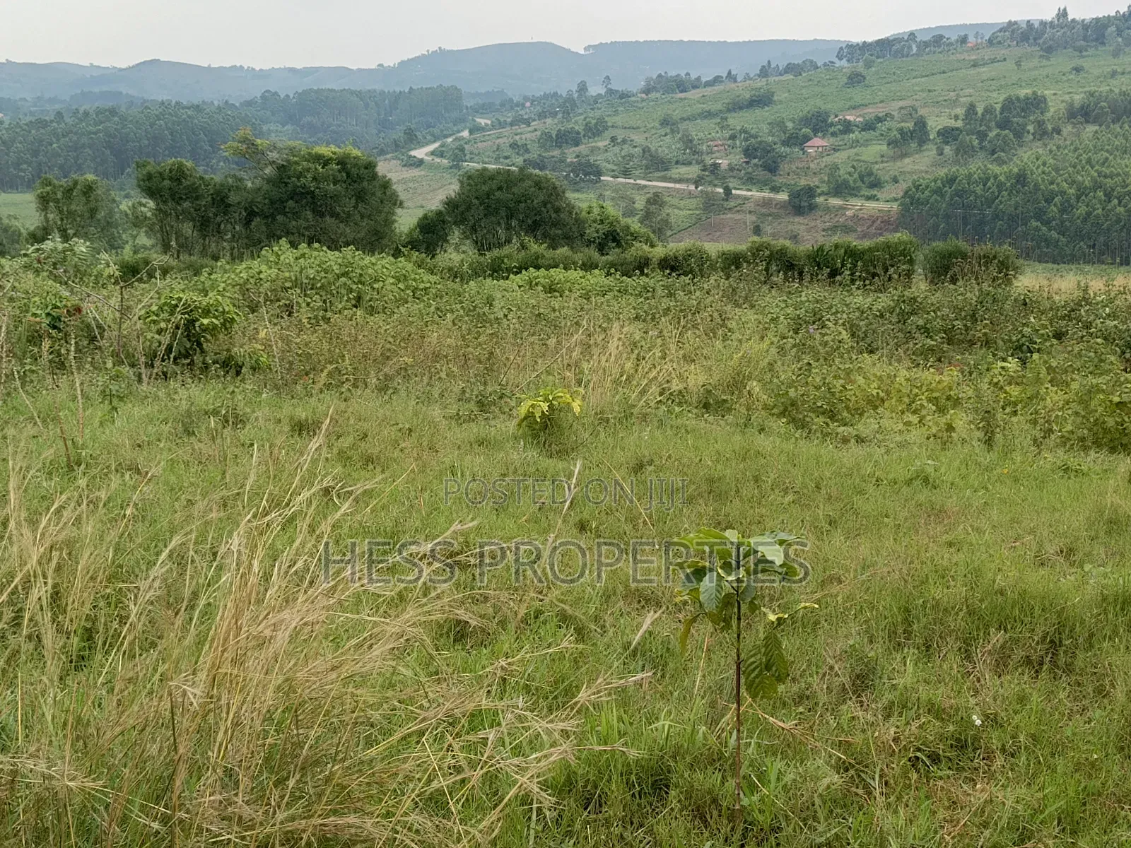 Commercial Land on Sale