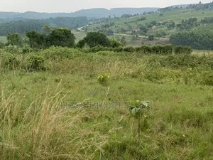 Commercial Land on Sale