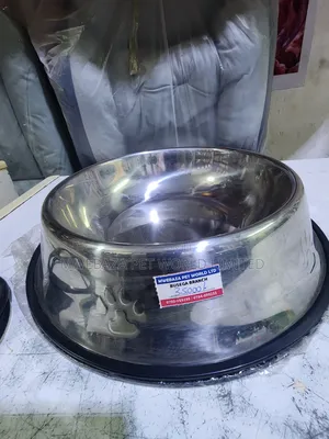 Dog Plates.