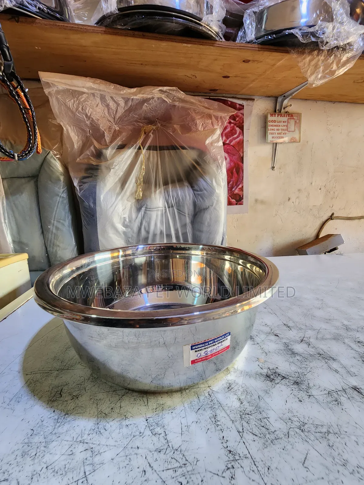 Dog Plates.