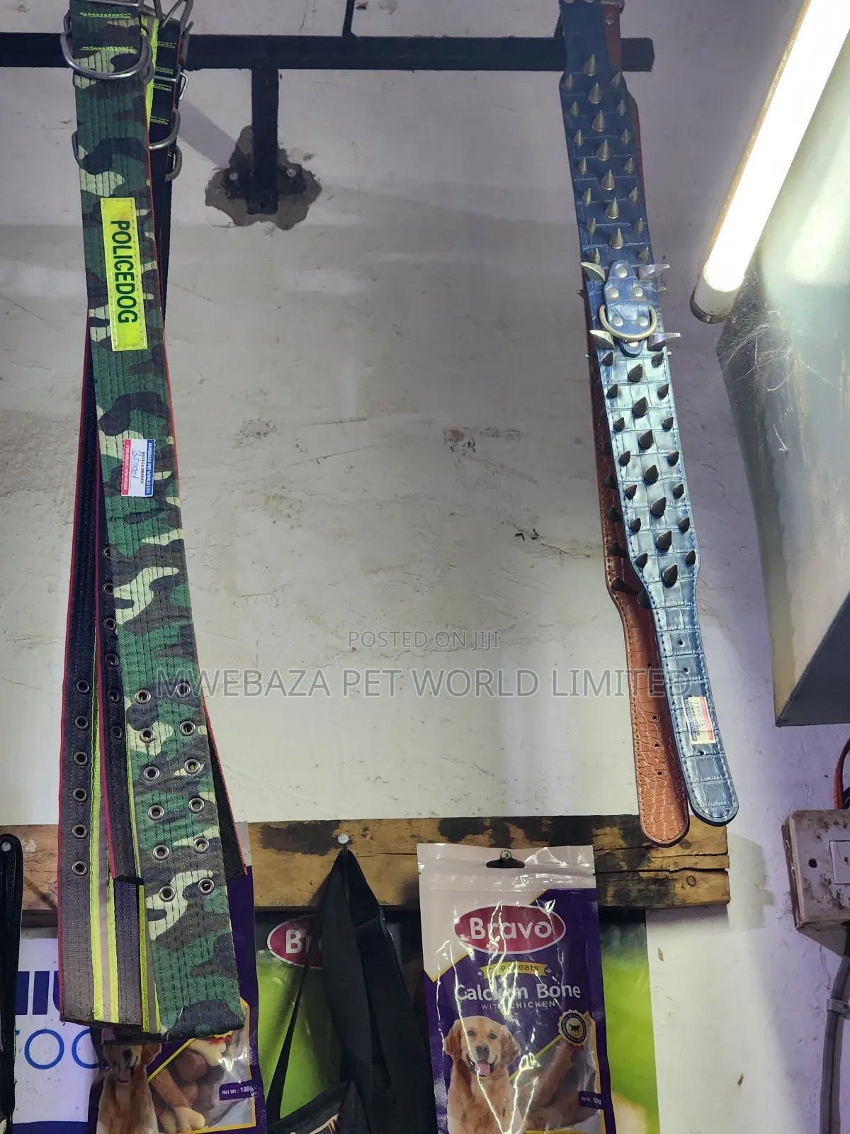 Dog Collars