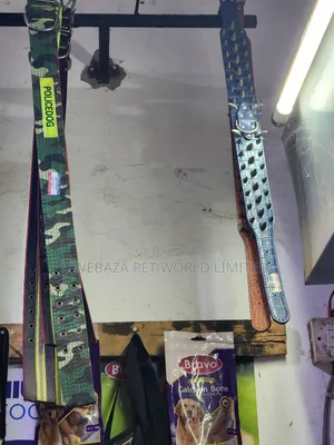 Dog Collars
