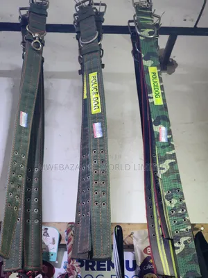 Dog Collars