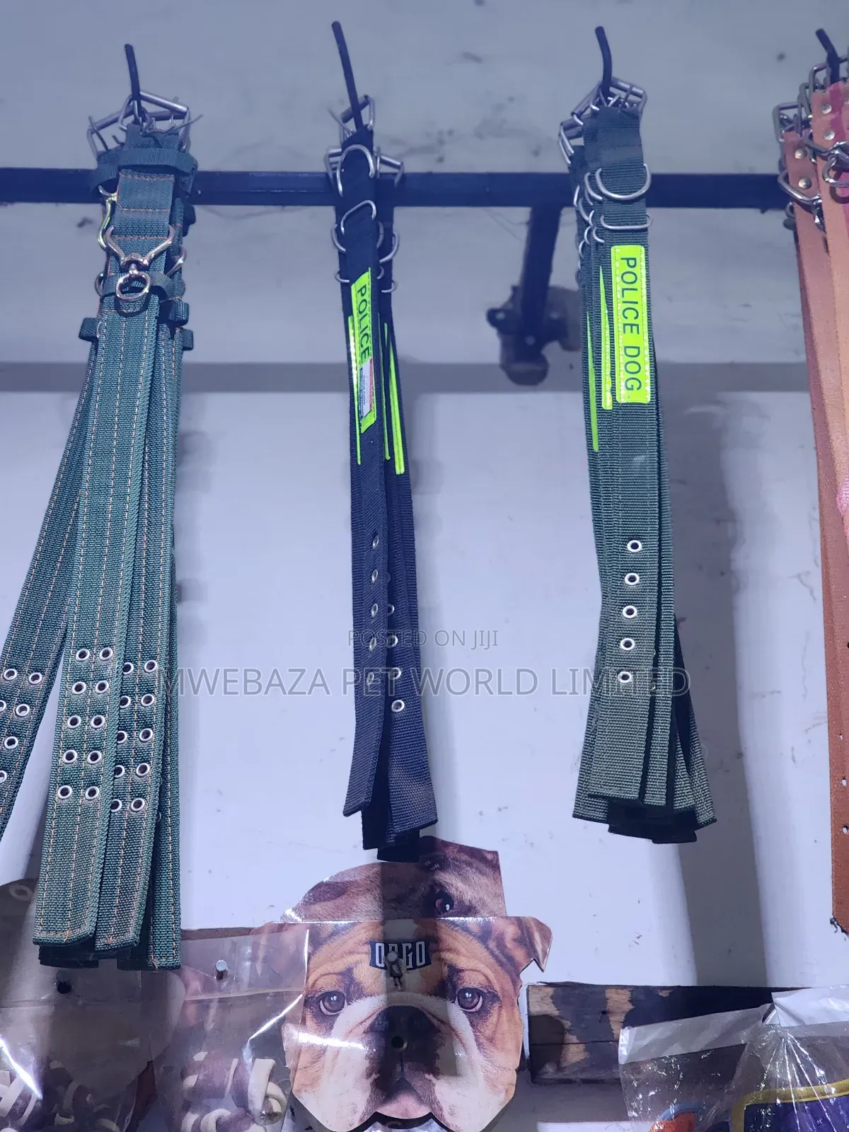 Dog Collars