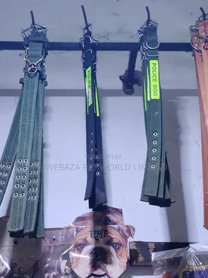 Dog Collars
