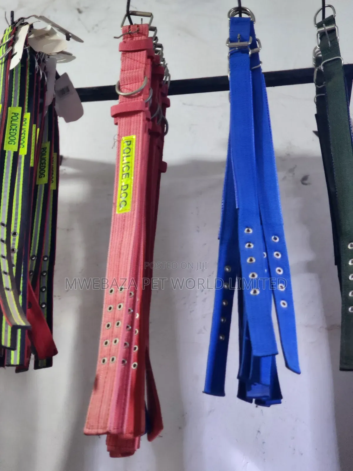 Dog Collars