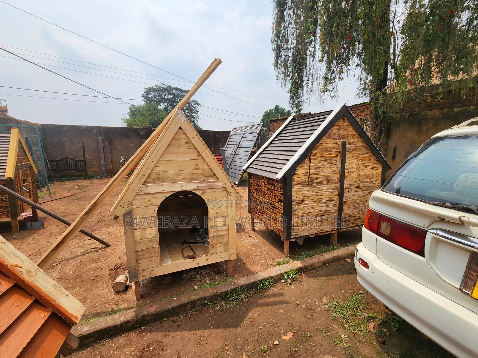 Dogs Kennel