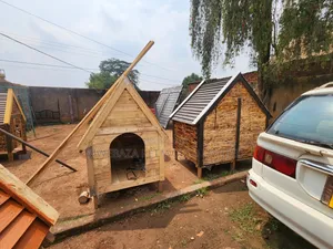 Dogs Kennel