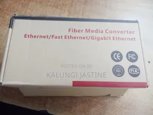 Fiber Media Converter With SFP Ports