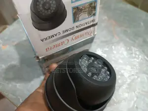 Fake Security CCTV