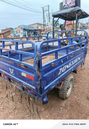 Tricycle 2023 Blue
