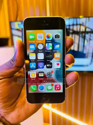 Apple iPhone SE 64 GB Gray
